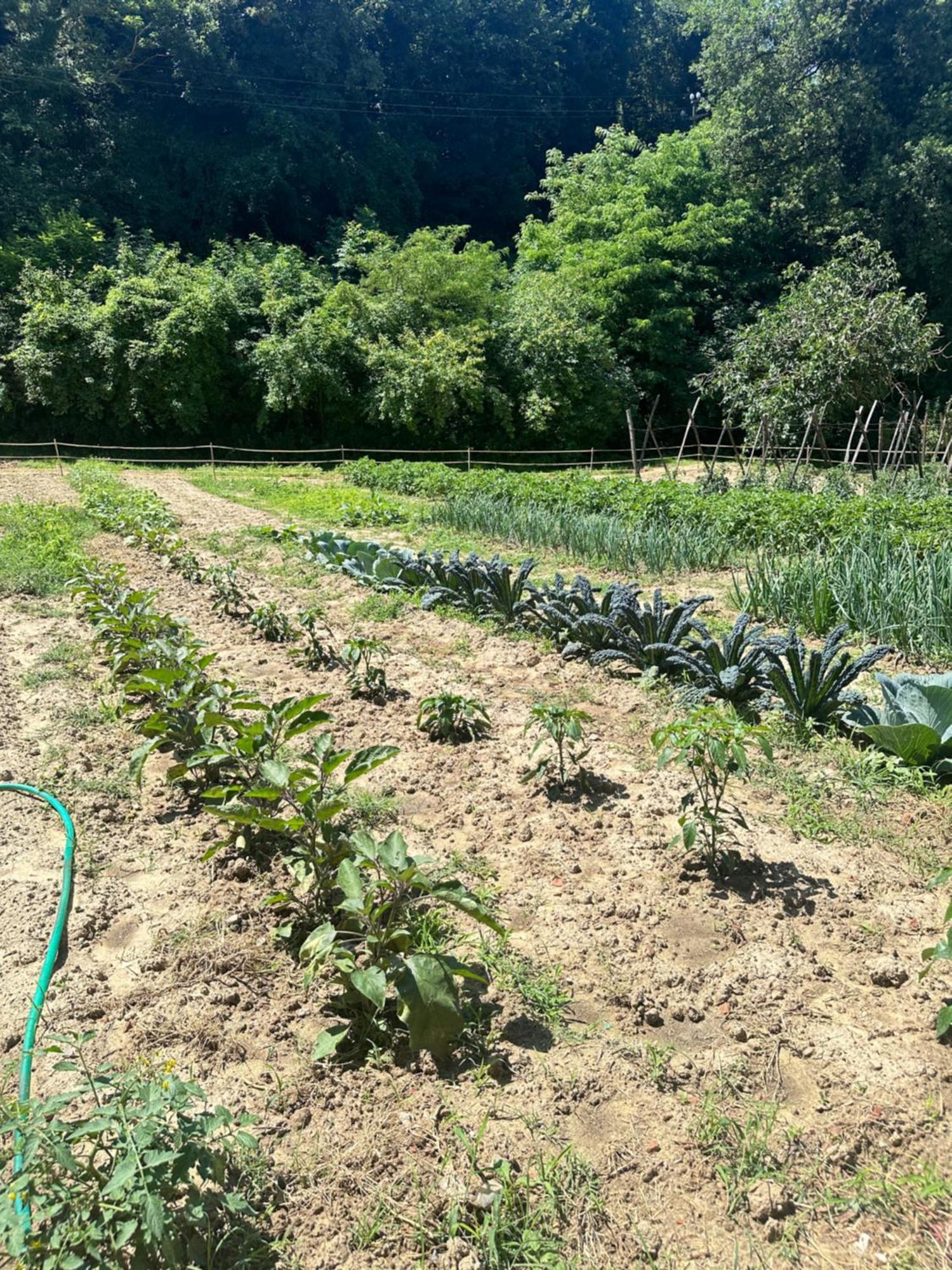 Agriturismo San Biagio Villa Montepulciano Stazione Kültér fotó