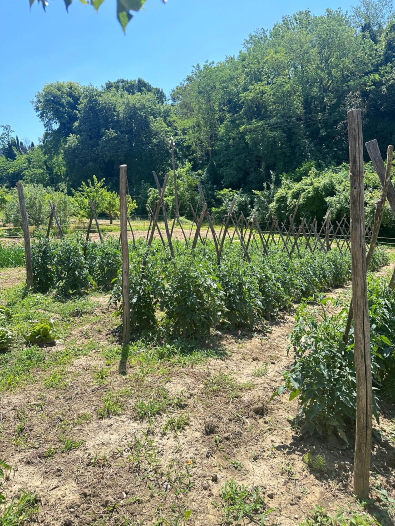 Agriturismo San Biagio Villa Montepulciano Stazione Kültér fotó