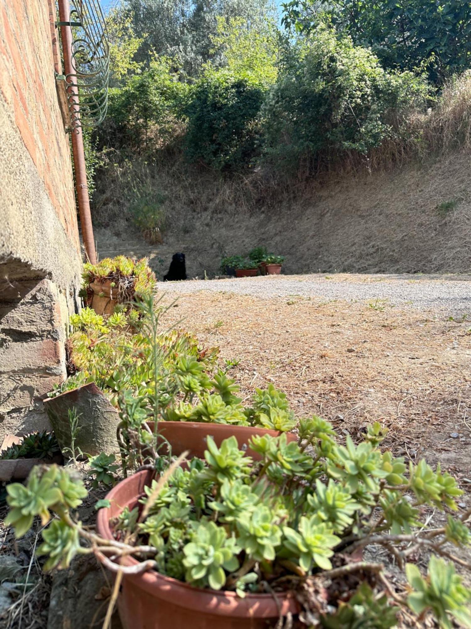 Agriturismo San Biagio Villa Montepulciano Stazione Kültér fotó