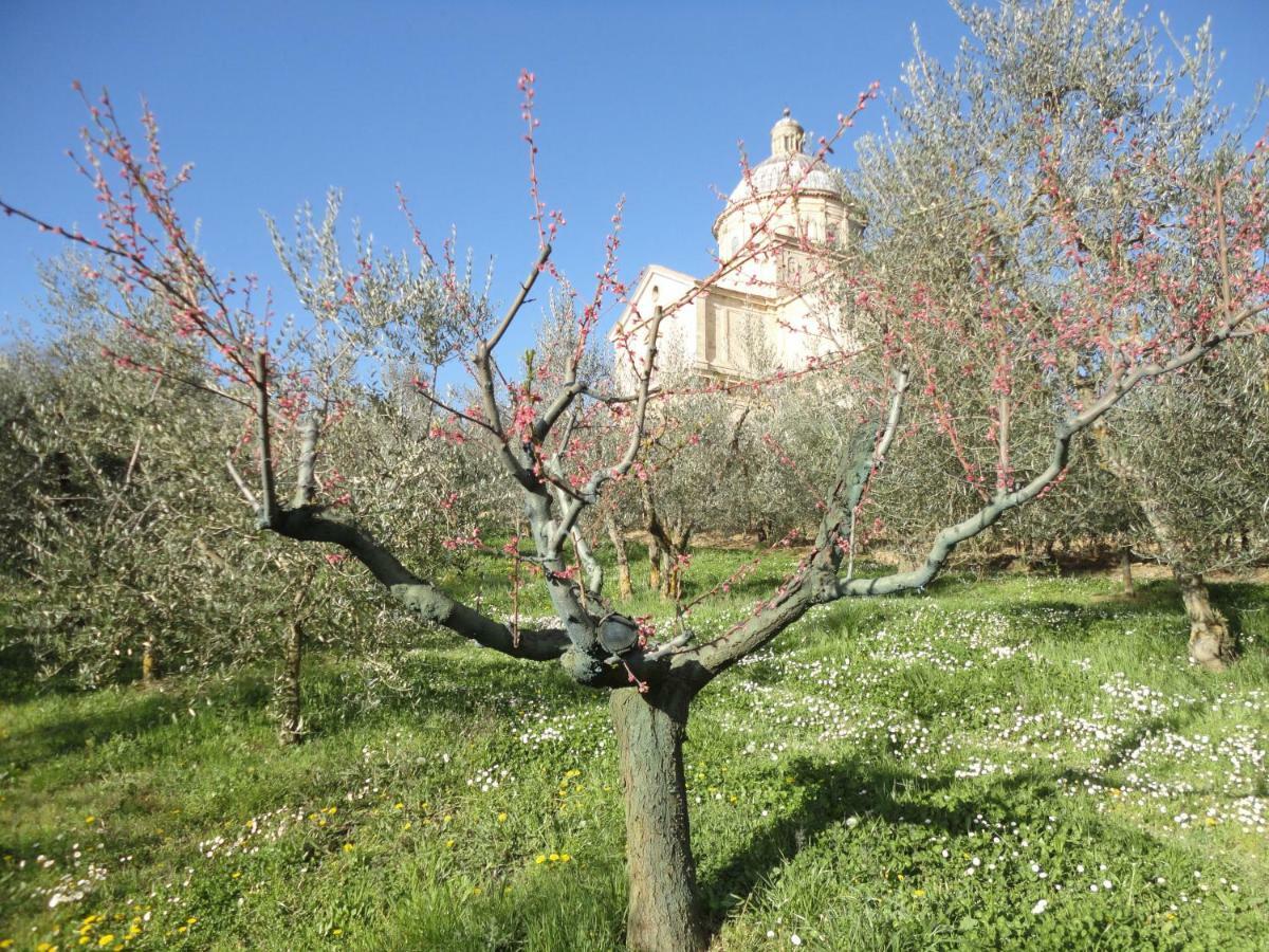Agriturismo San Biagio Villa Montepulciano Stazione Kültér fotó
